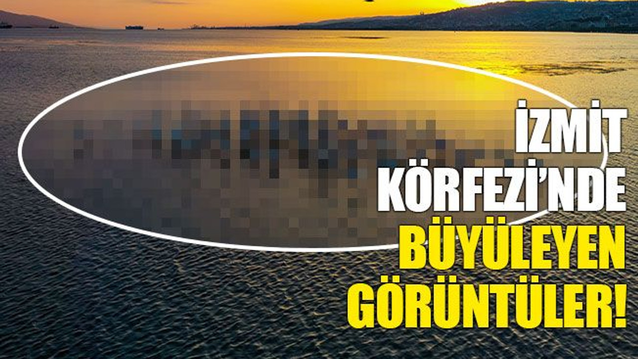 İzmit Körfezi'nde büyüleyen görüntüler!