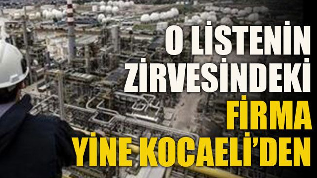 O listenin zirvesindeki firma yine Kocaeli’den