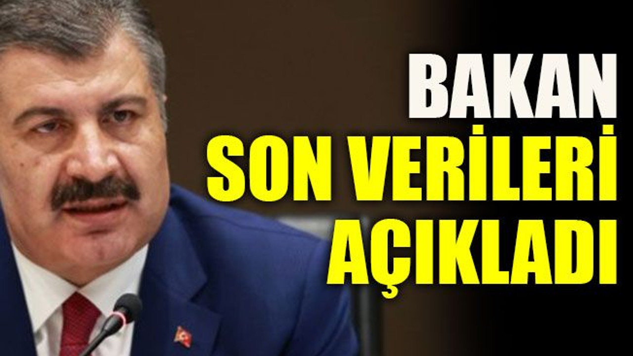 Bakan son verileri açıkladı