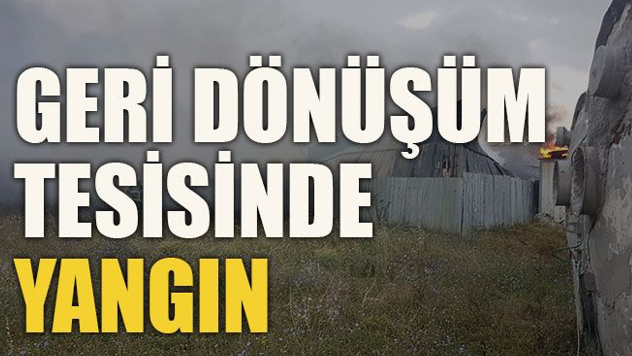 Geri dönüşüm tesisinde yangın