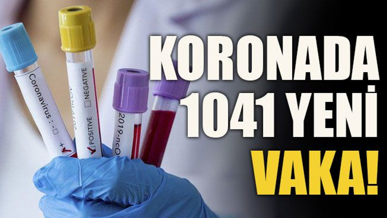 Koronada 1041 yeni vaka!