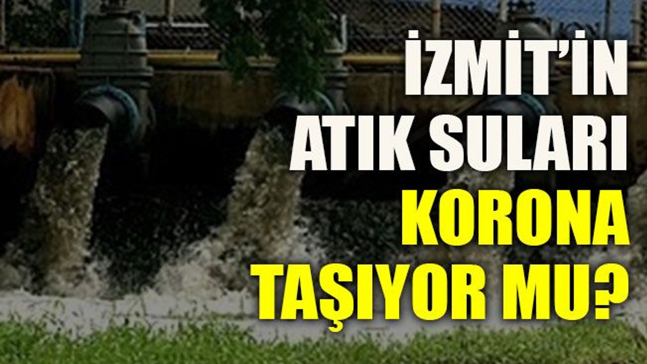 İzmit’in atık suları korona taşıyor mu?