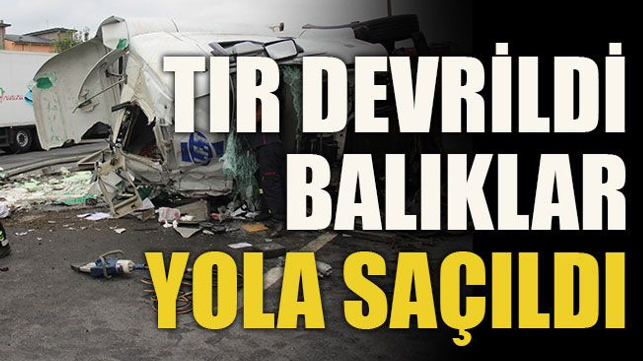 Tır devrildi balıklar yola saçıldı