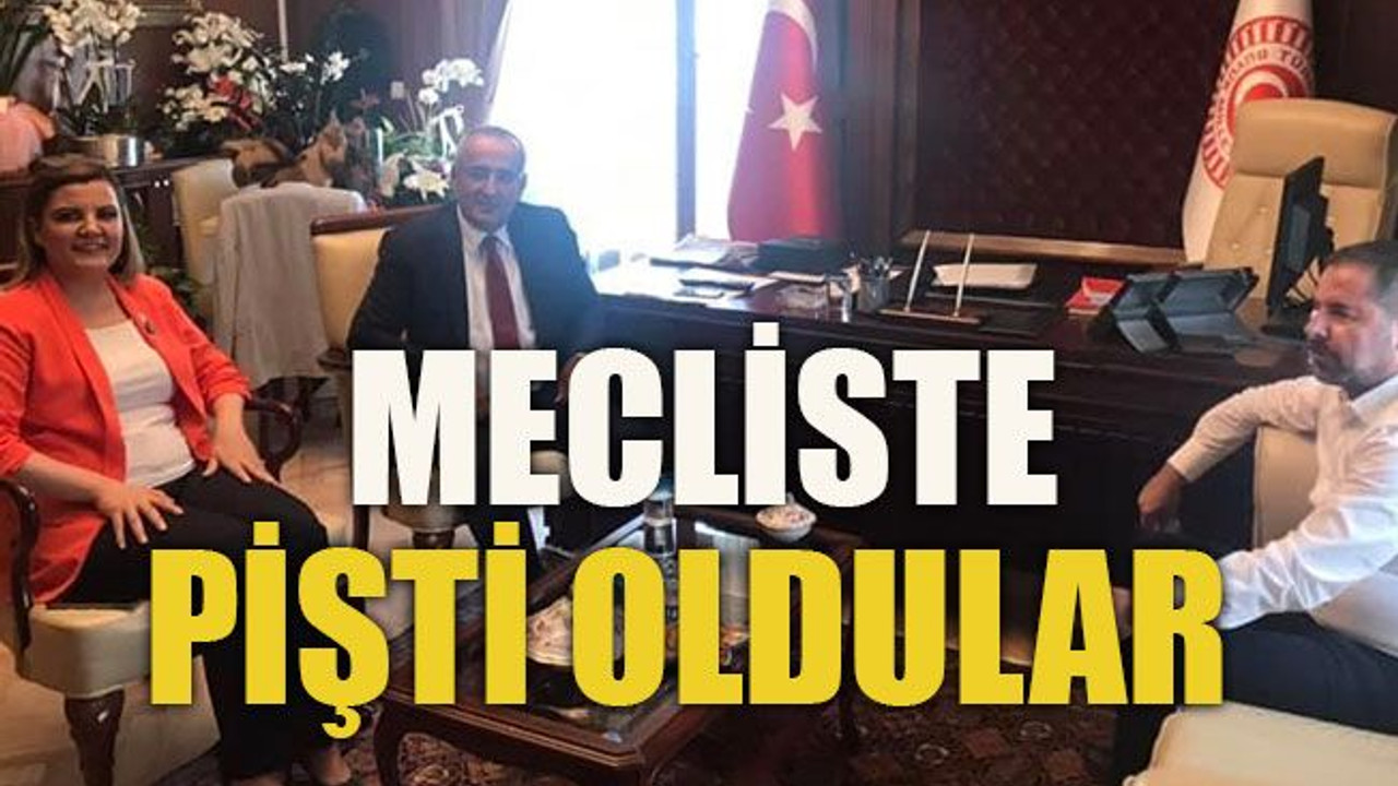 Mecliste pişti oldular