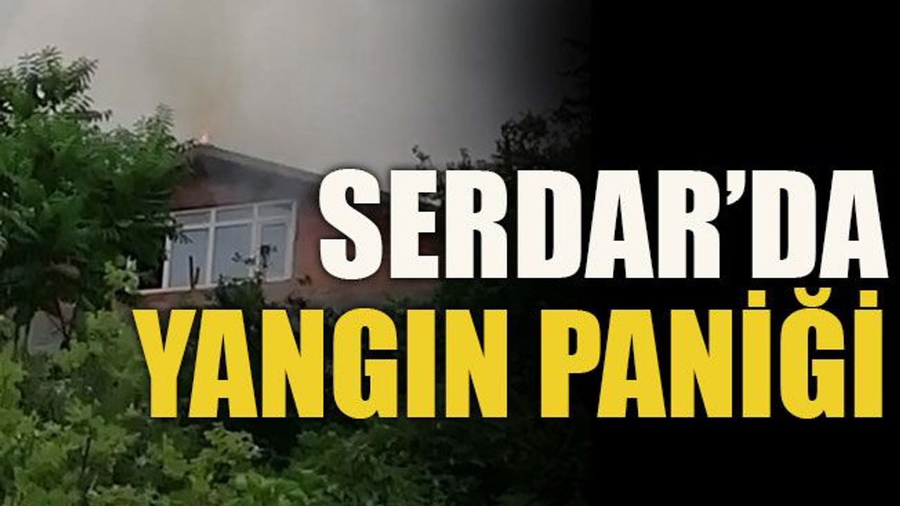 Yoldan atılan izmarit, evin çatısını kül etti