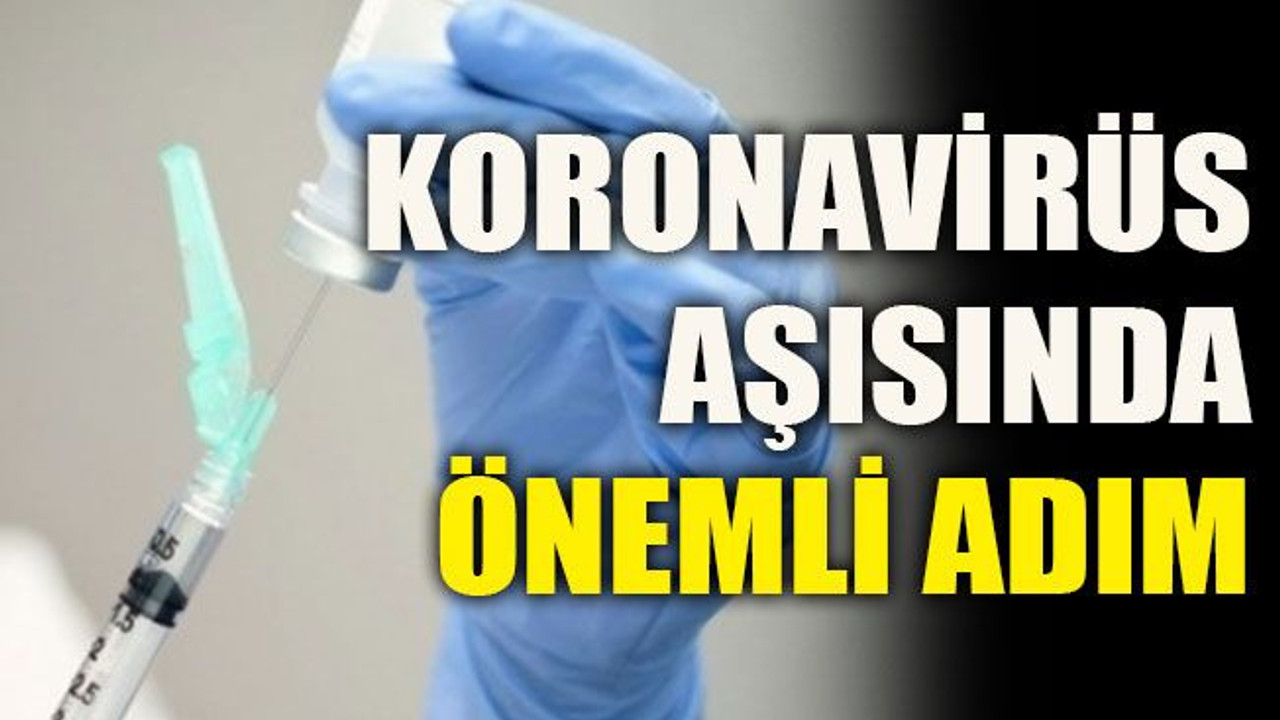 Koronavirüs aşısında önemli adım