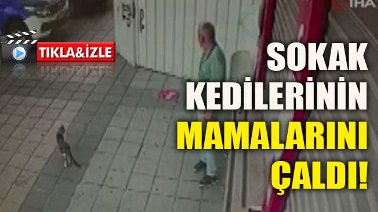 Sokak kedilerinin mamalarını çaldı!