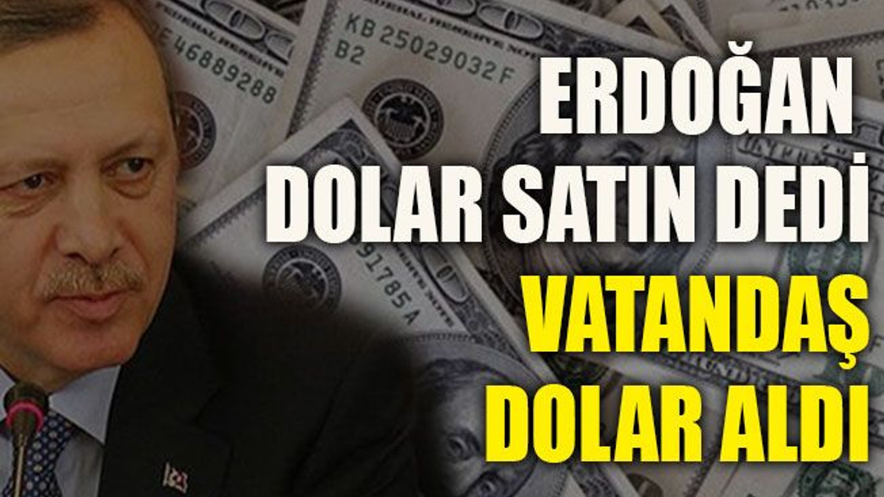 Erdoğan dolar satın dedi, vatandaş dolar aldı