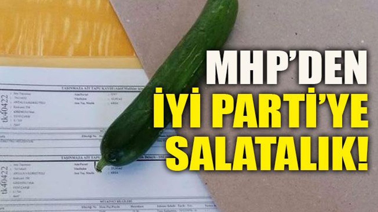MHP’den İYİ Parti’ye salatalık!