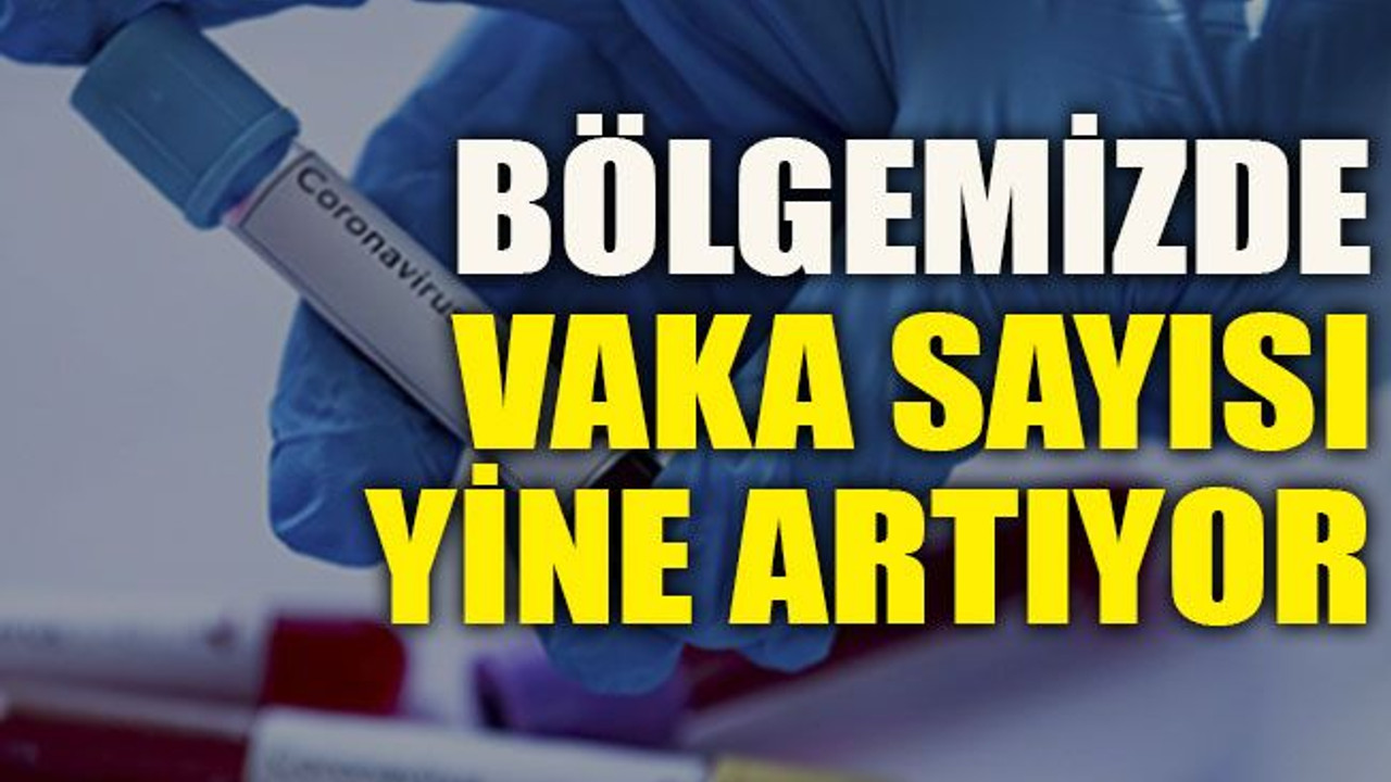Bölgemizde vaka sayısı yine artıyor