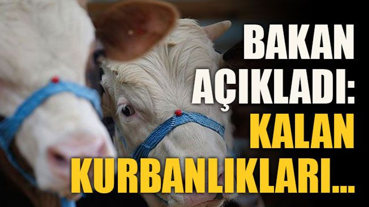 Bakan açıkladı: Kalan kurbanlıkları…