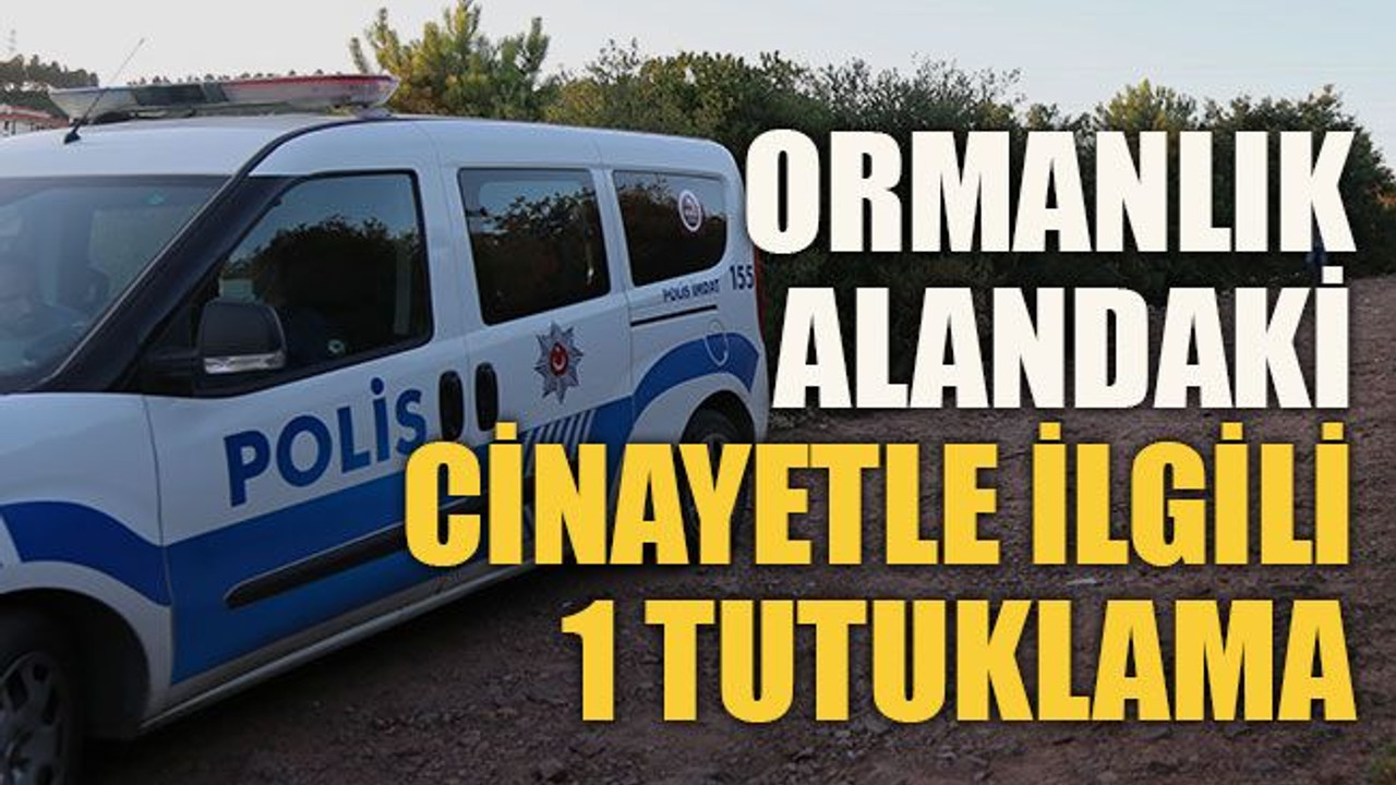 Ormanlık alandaki cinayetle ilgili 1 tutuklama