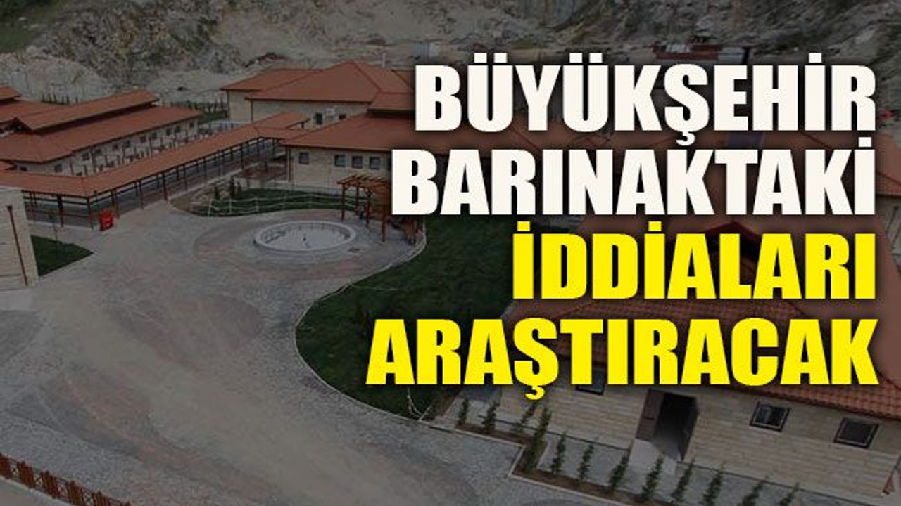 Büyükşehir barınaktaki iddiaları araştıracak