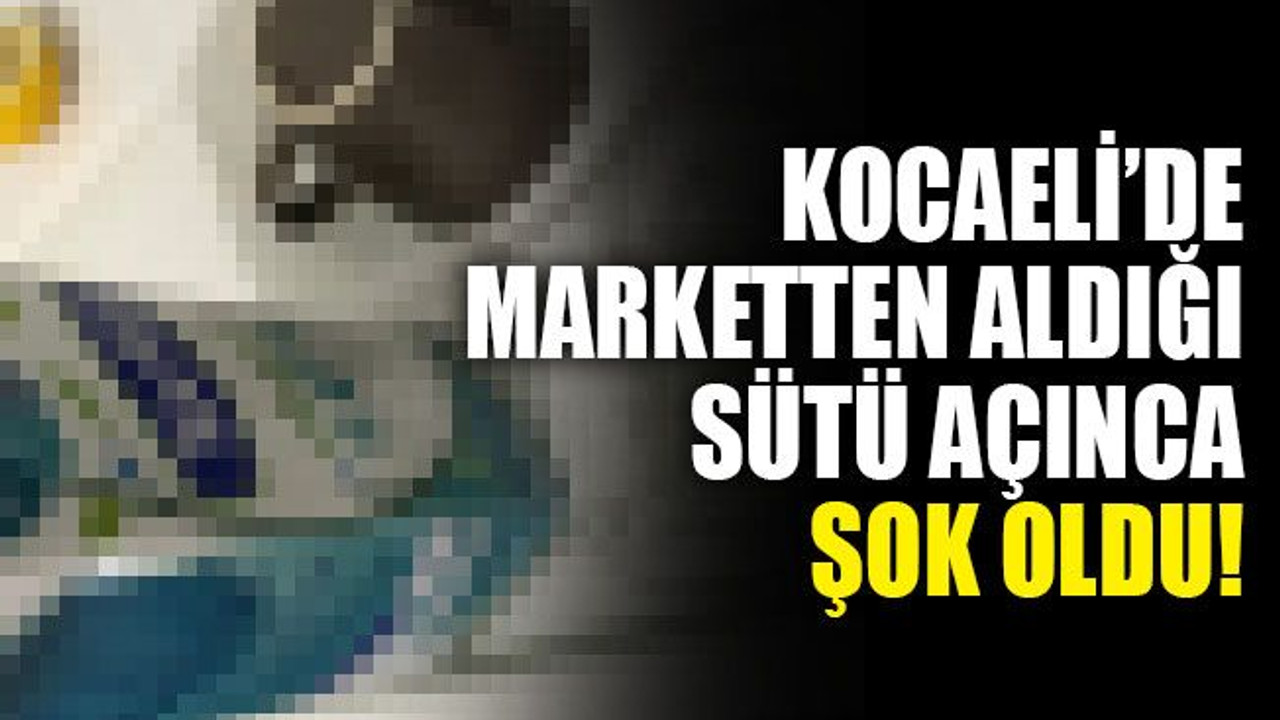 Marketten aldıkları sütleri açınca şok oldular!