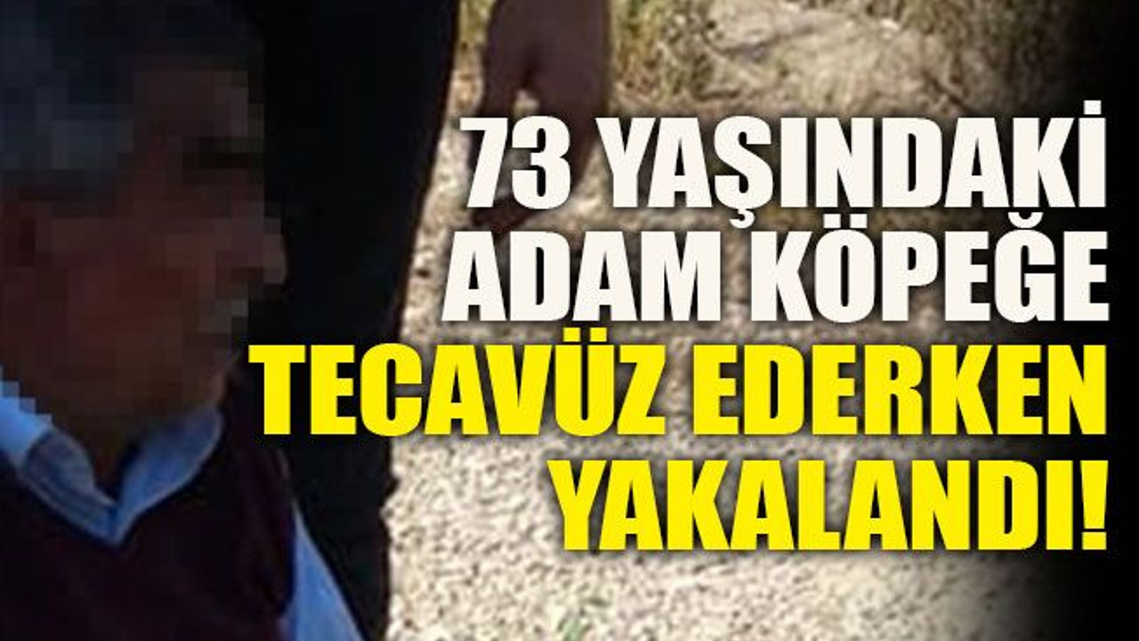 73 yaşındaki adam köpeğe tecavüz ederken yakalandı!