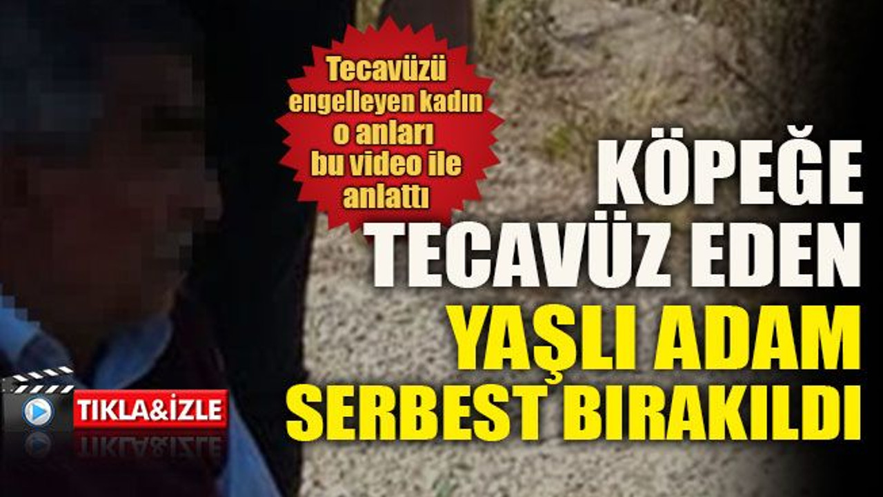 Köpeğe tecavüz eden yaşlı adam serbest bırakıldı