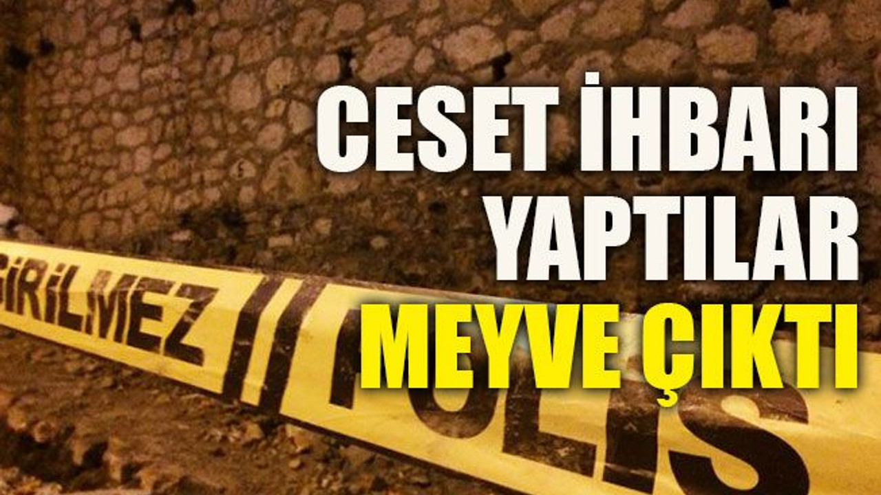 Ceset ihbarı yaptılar meyve çıktı