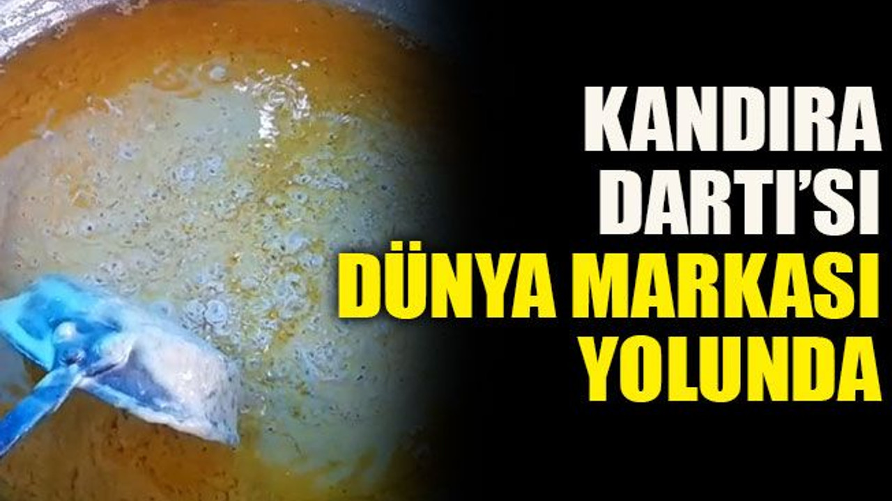 Kandıra Dartı’sı Dünya Markası Yolunda