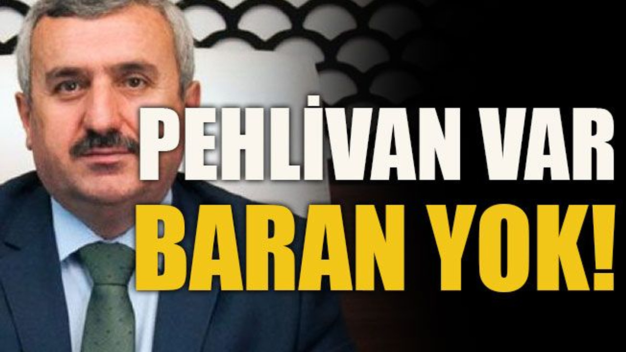Pehlivan var, Baran yok!