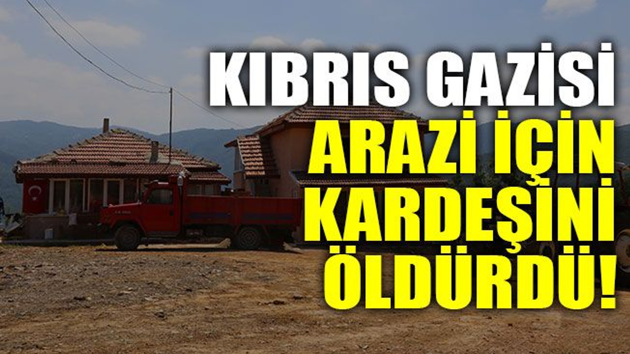Arazi kavgasında kardeşini öldürdü!