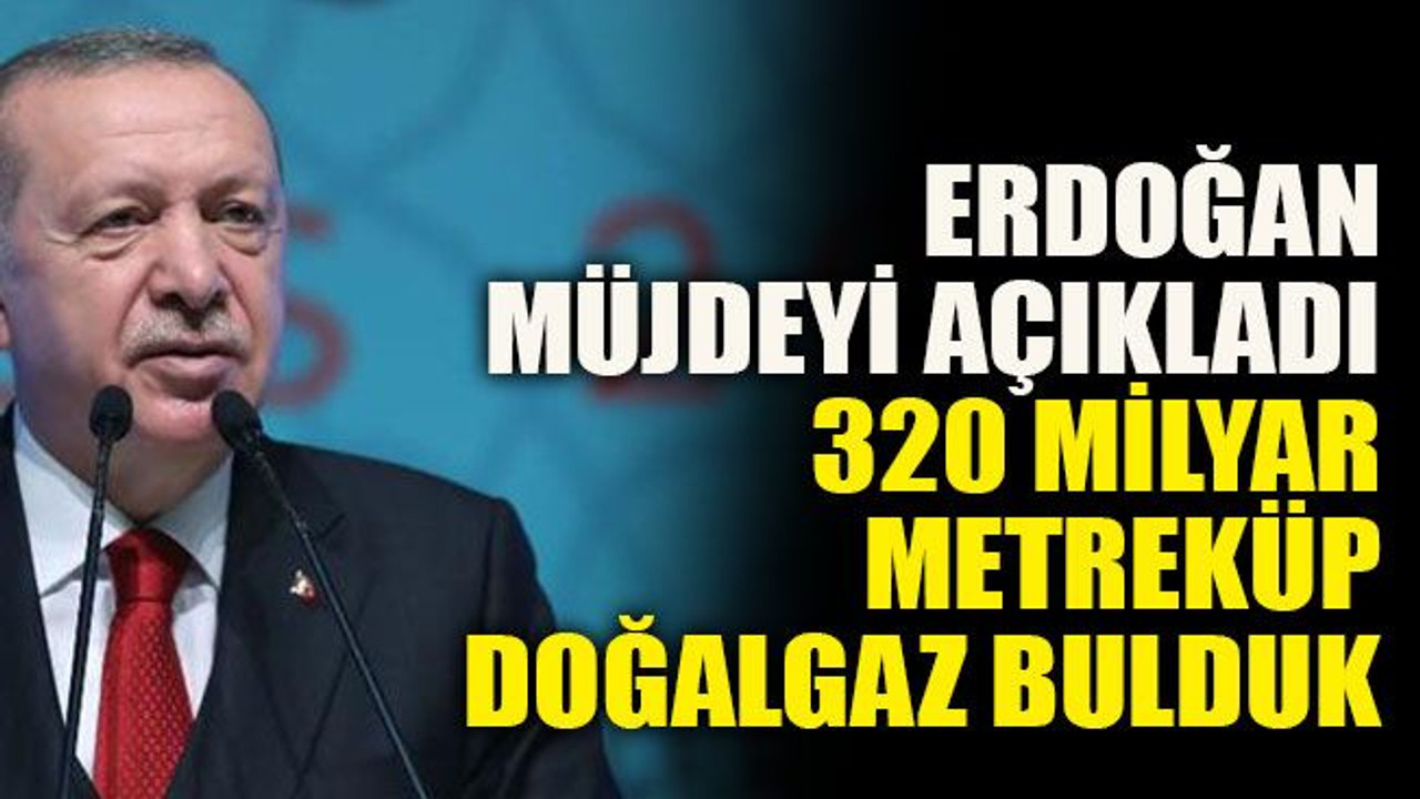 Erdoğan müjdeyi açıkladı: 320 milyar metreküp doğalgaz bulduk