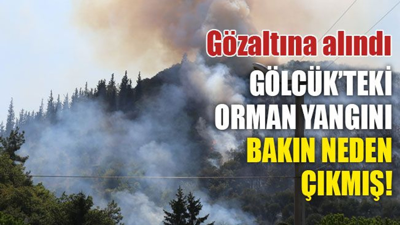 Gölcük'teki orman yangını, bakın neden çıkmış... 1 kişi gözaltına alındı!