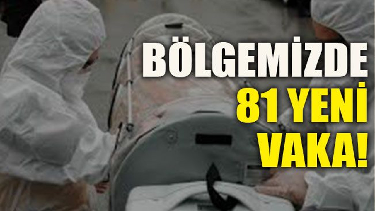 Bölgemizde 81 yeni vaka!