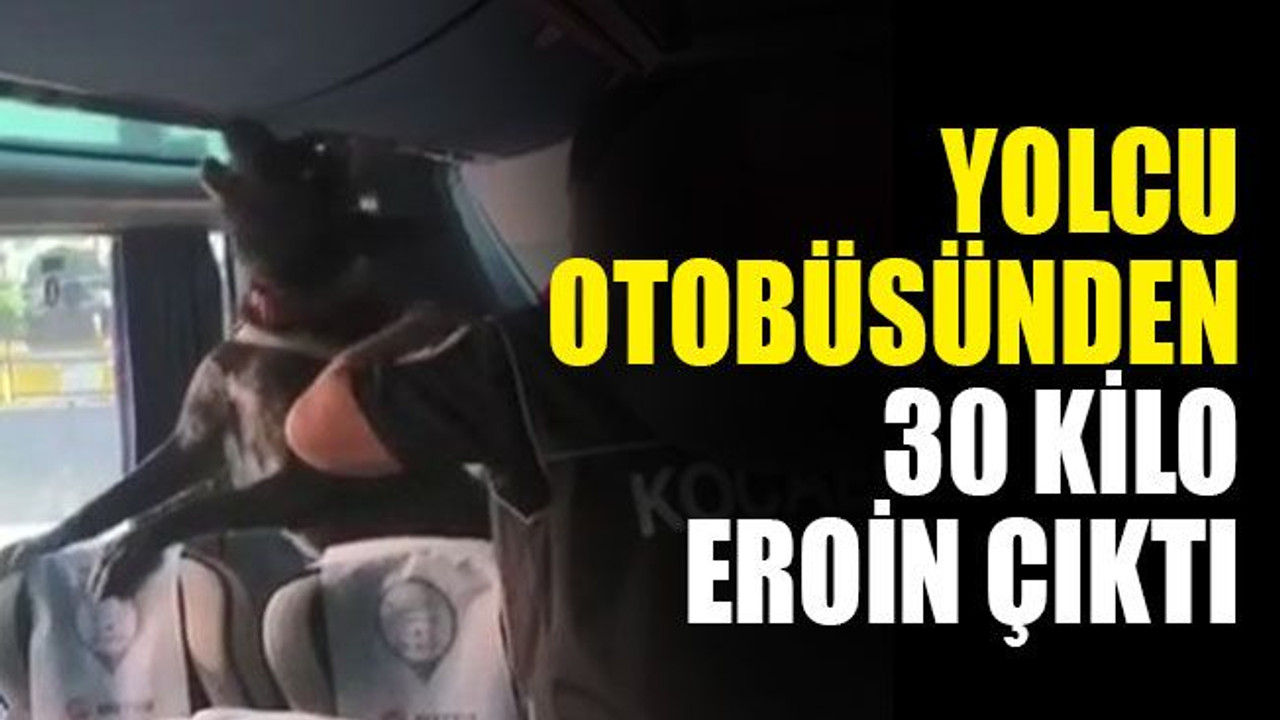 Kocaeli'de yolcu otobüsünden 30 kilo 800 gram eroin çıktı