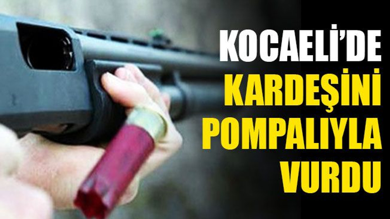 Kocaeli'de tartıştığı kardeşini pompalı tüfekle vurdu