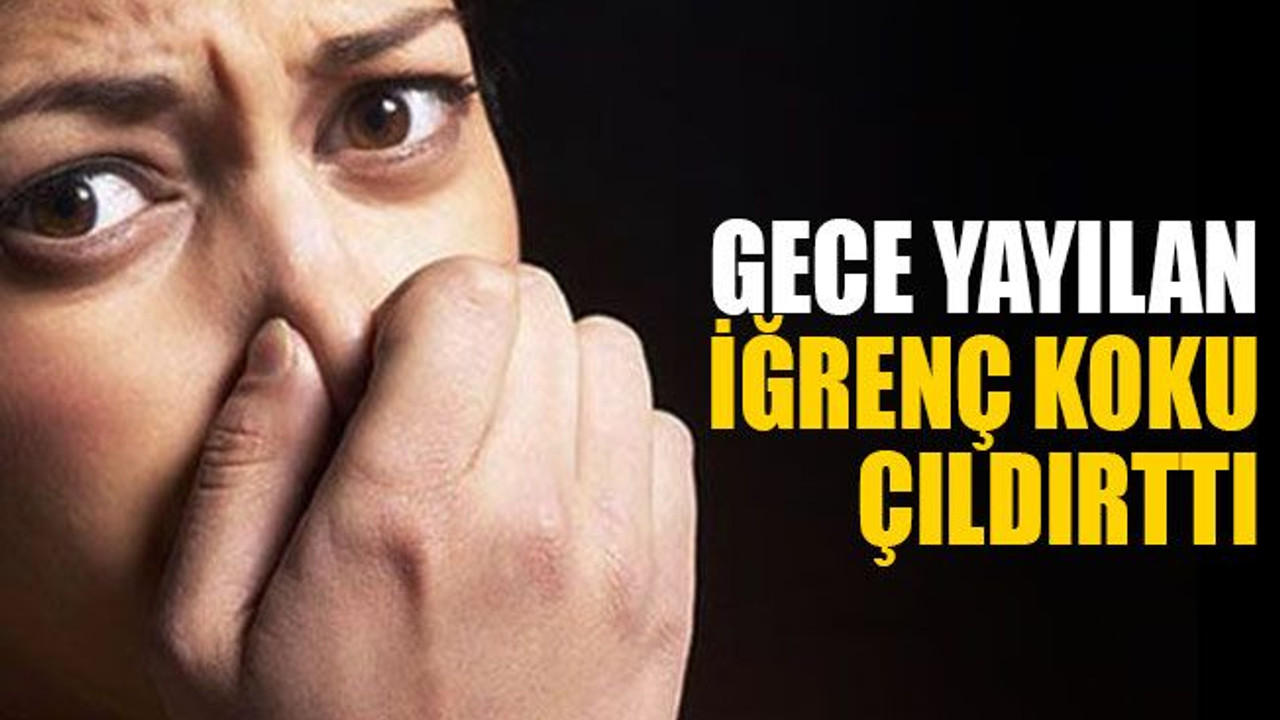 Gece yayılan iğrenç koku, çıldırttı
