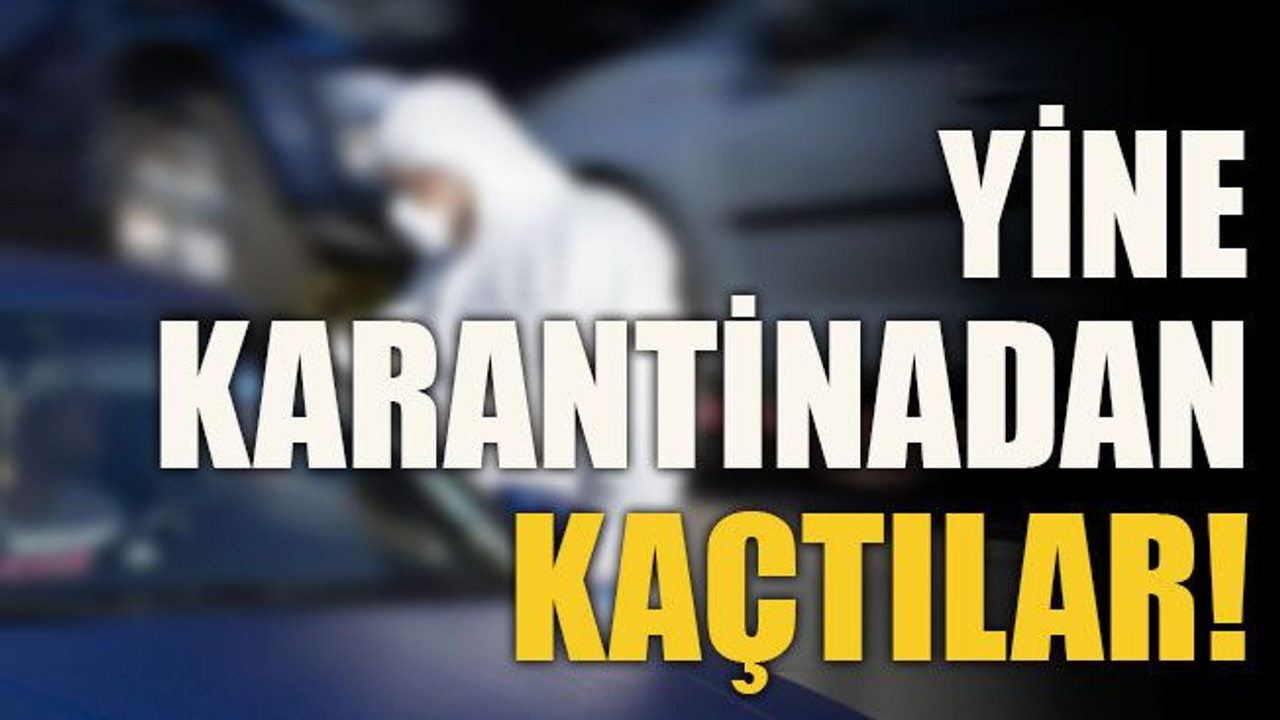 Yine karantinadan kaçtılar!