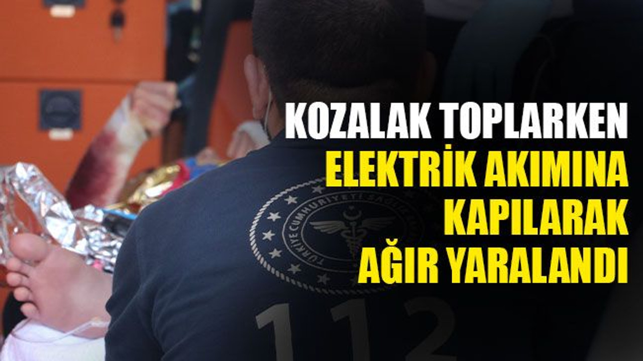 Çam kozalağı toplarken akıma kapılan genç ağır yaralandı