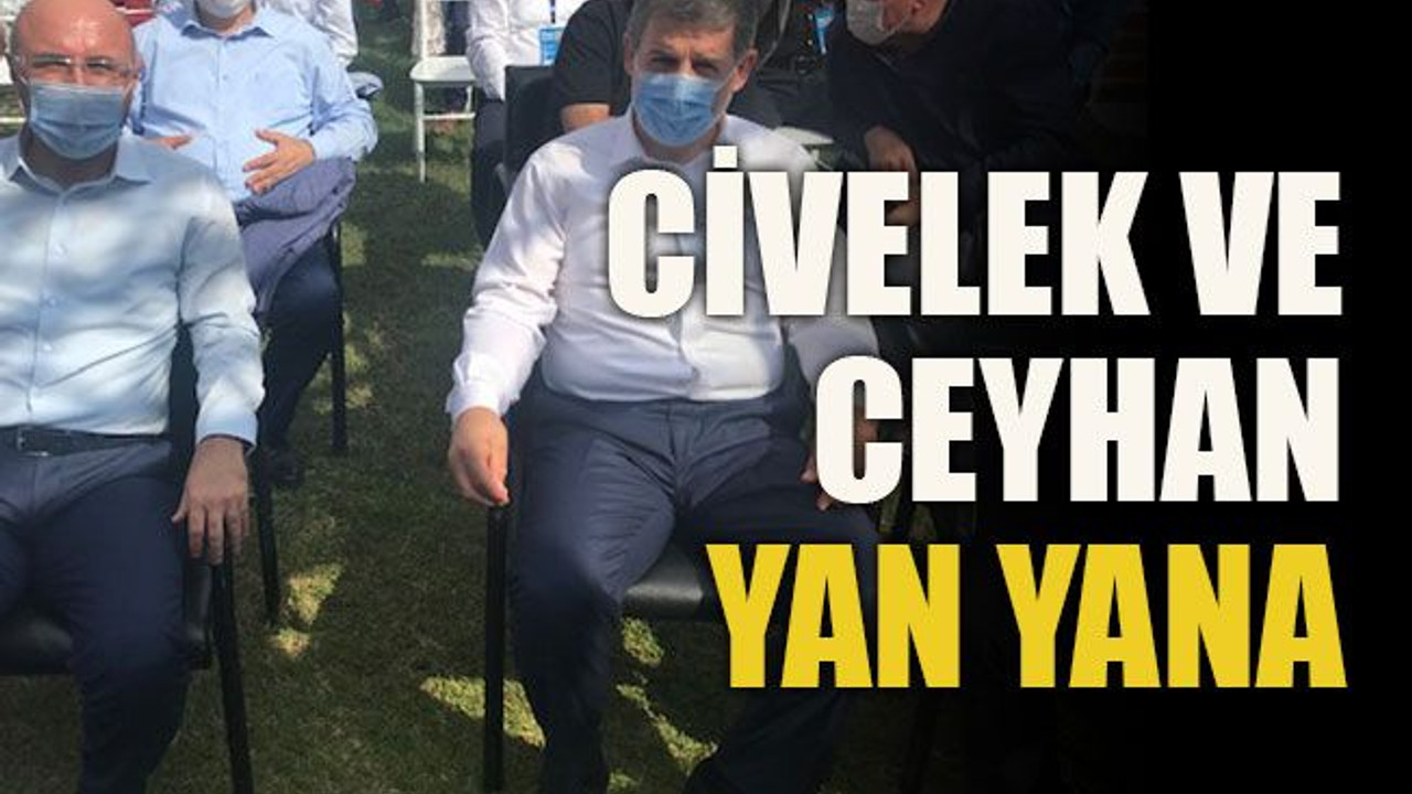 Civelek ve Ceyhan yan yana