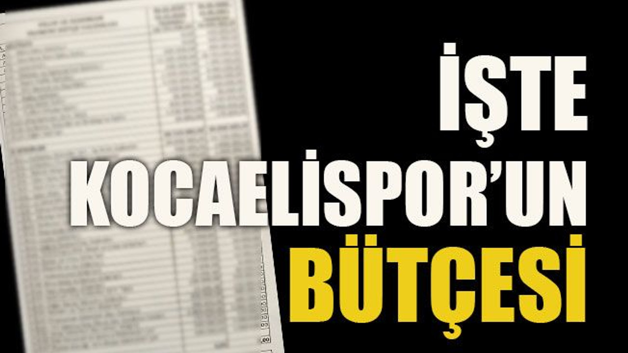 İşte Kocaelispor’un bütçesi!