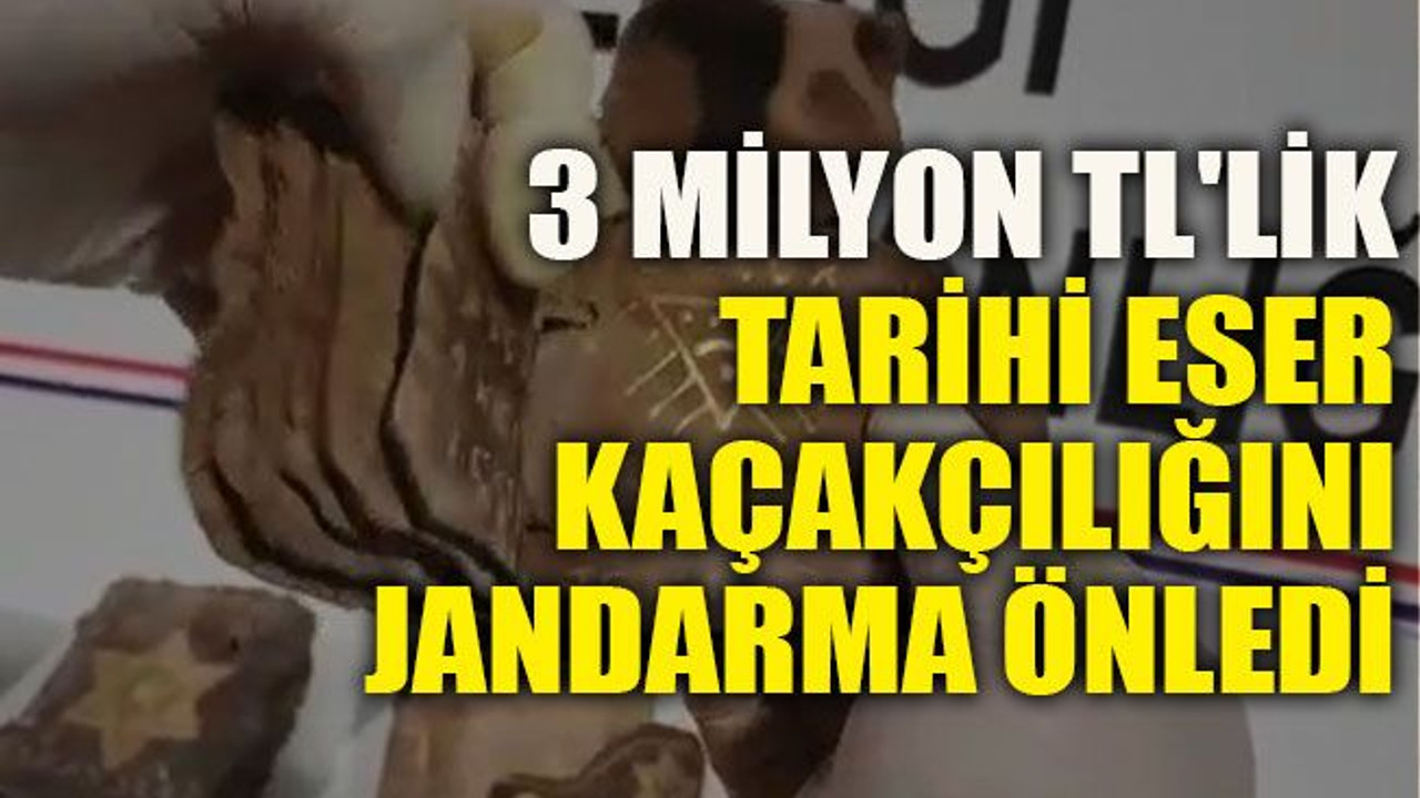 3 milyon TL'lik tarihi eser kaçakçılığını jandarma önledi