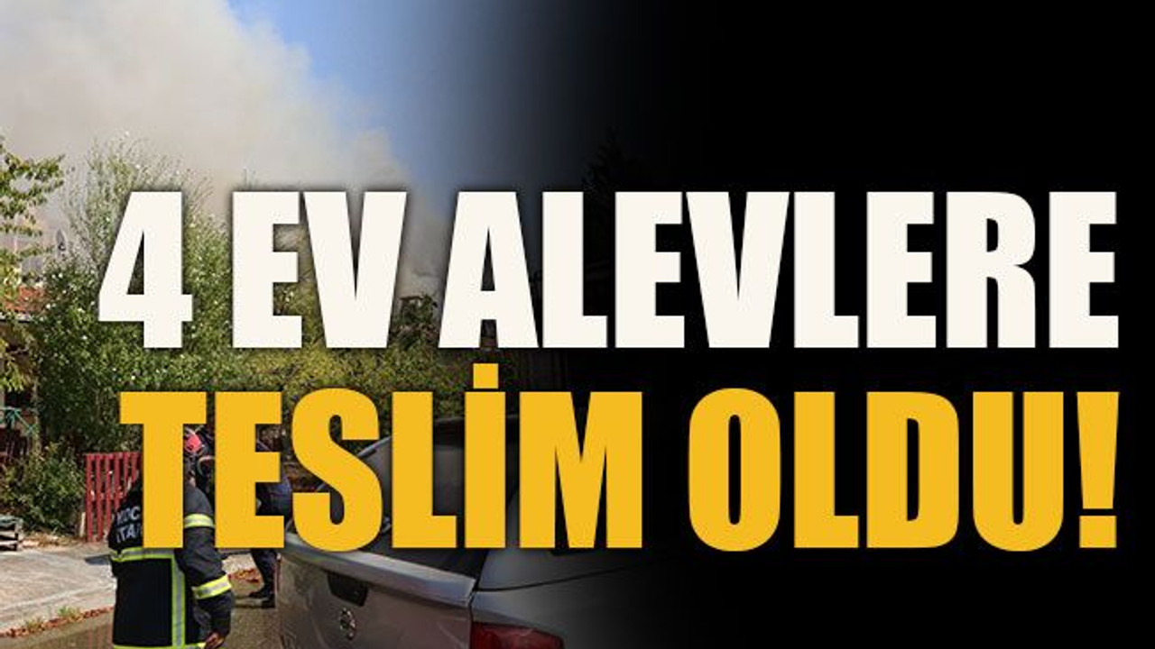 4 ev alevlere teslim oldu!