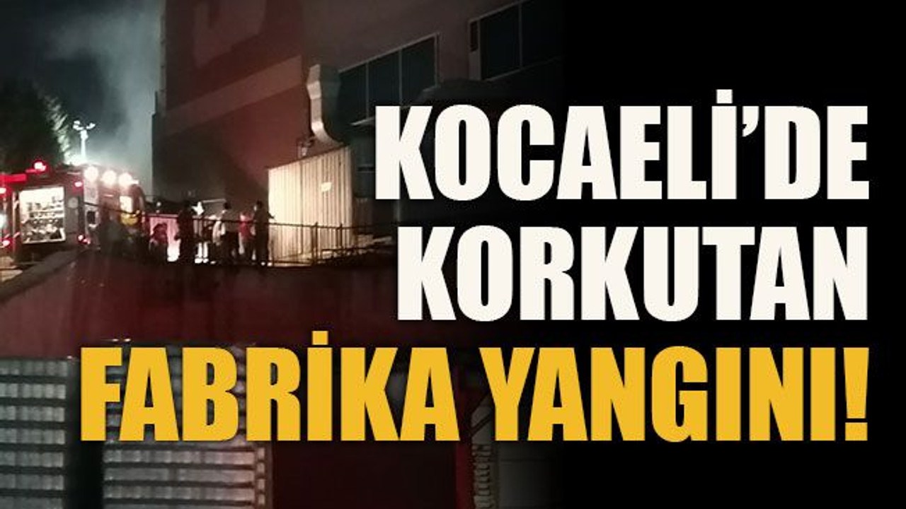 Kocaeli’de korkutan fabrika yangını!