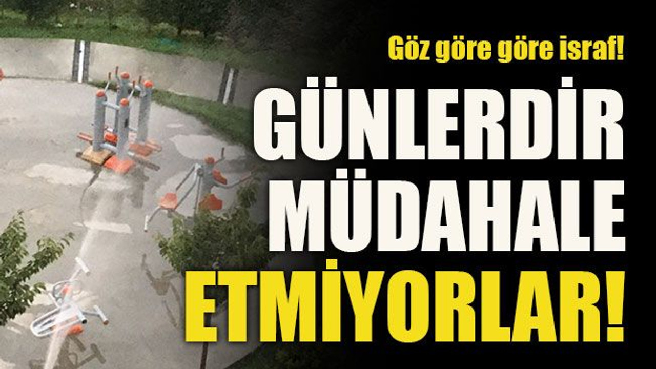 Göz göre göre israf! Günlerdir müdahale etmiyorlar!