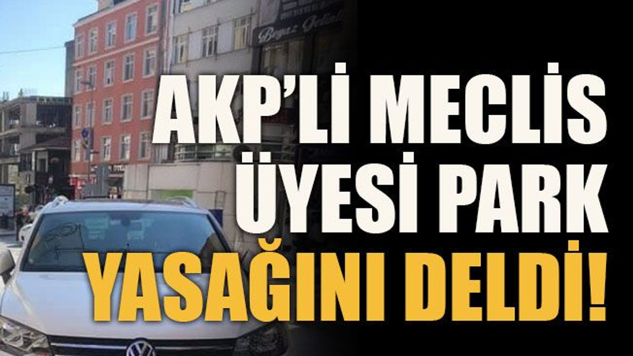 AKP’li Meclis Üyesi park yasağını deldi!
