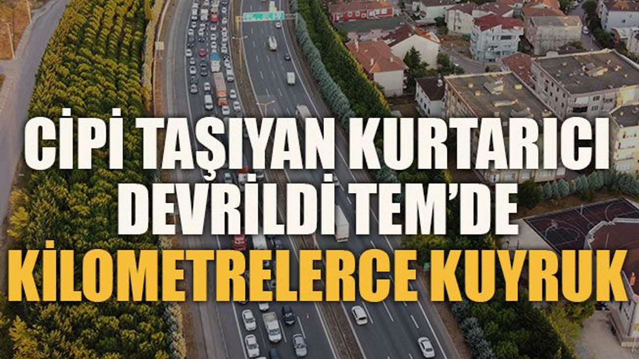 Cipi taşıyan kurtarıcı devrildi... TEM’de kilometrelerce kuyruk
