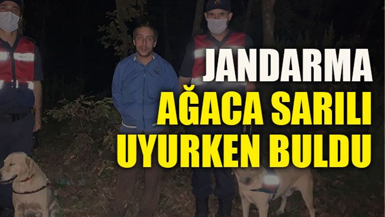 Ormanda kaybolan zihinsel engelli vatandaş ağaca sarılı şekilde uyurken bulundu
