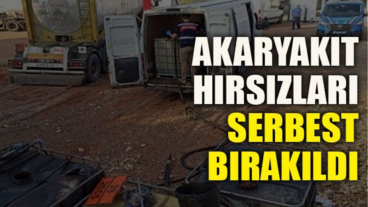Kocaeli'de akaryakıt hırsızları serbest bırakıldı