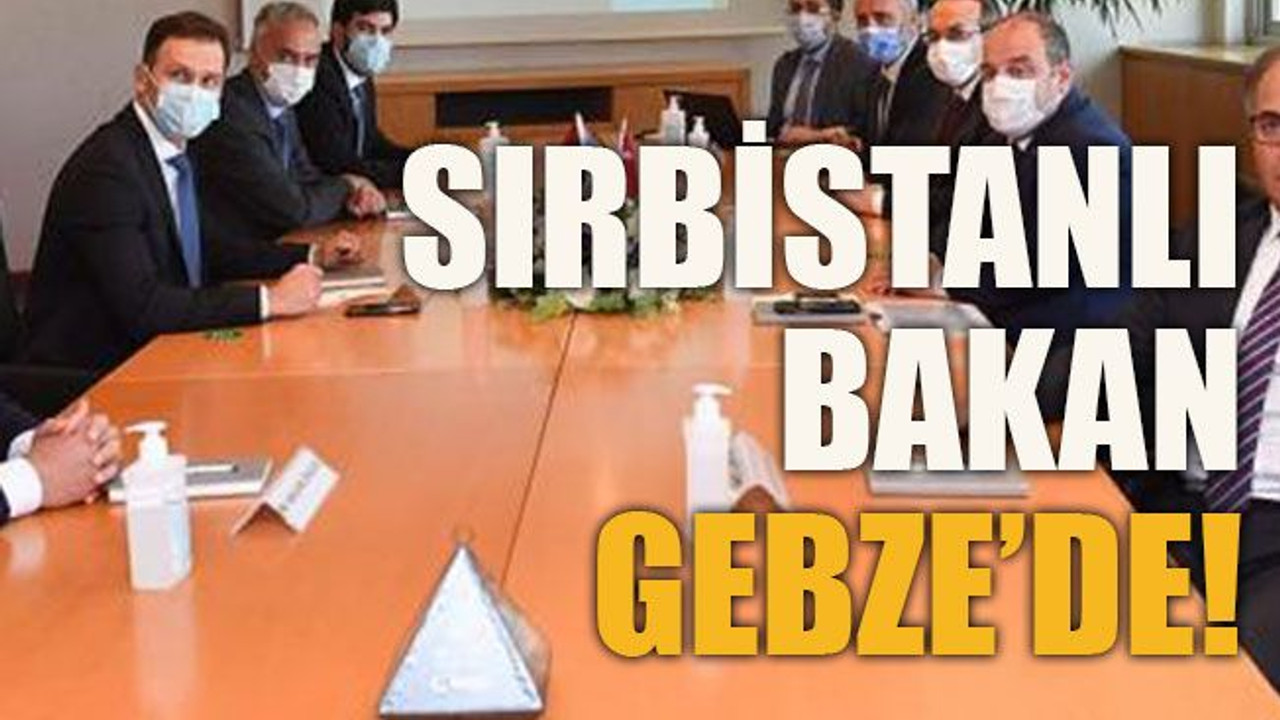 Sırbistanlı Bakan Gebze’de!