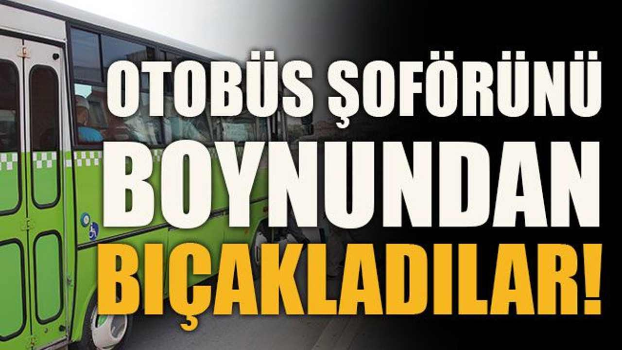 Otobüs şoförünü boynundan bıçakladılar!