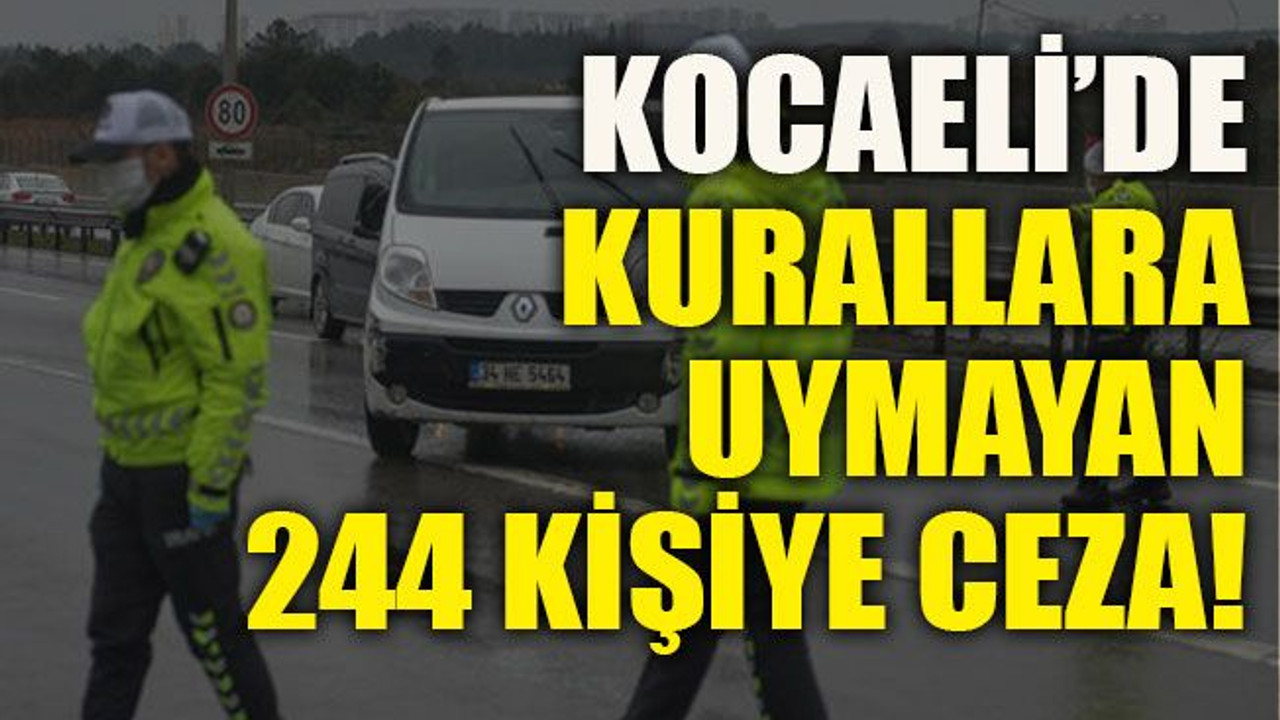 Kocaeli’de kurallara uymayan 244 kişiye ceza!