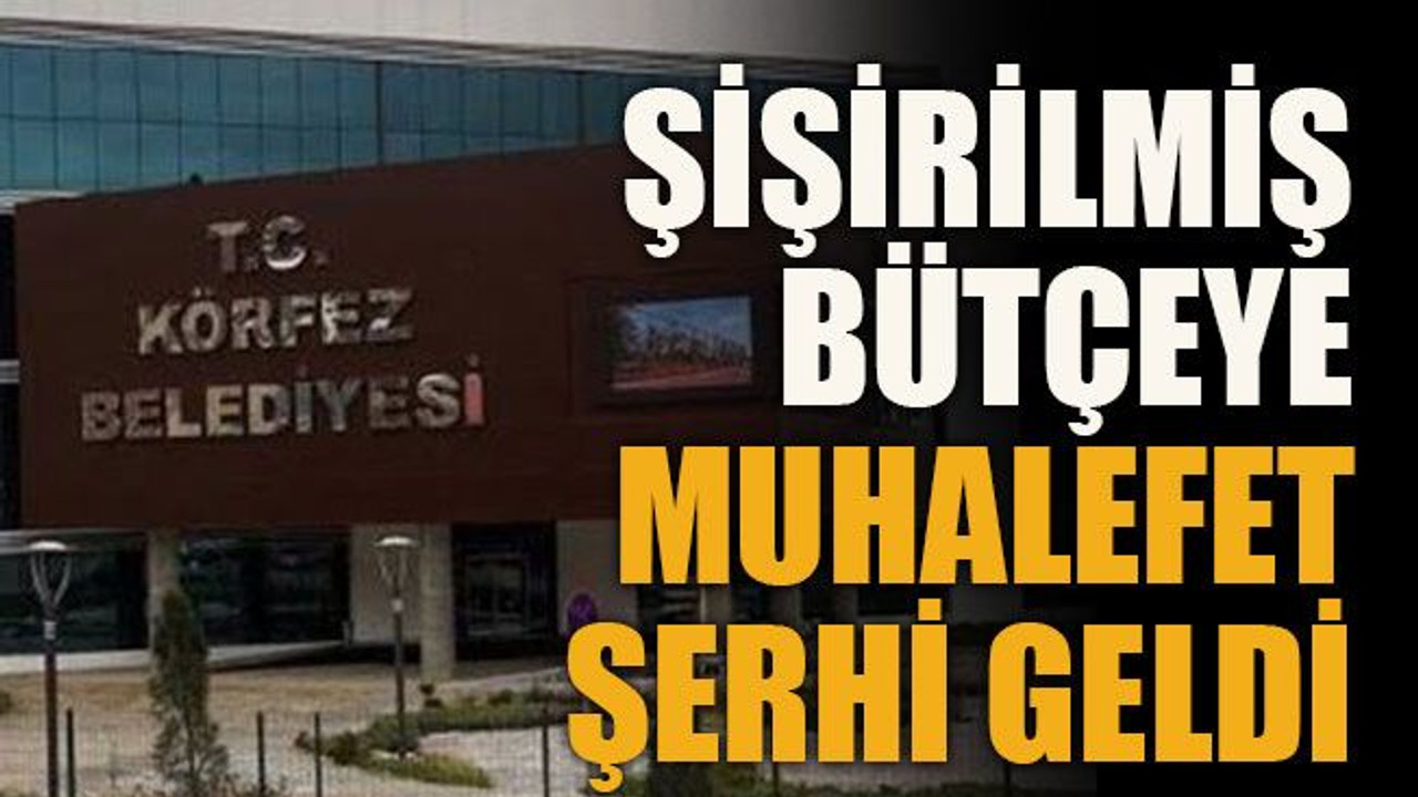 Şişirilmiş bütçeye muhalefet şerhi geldi!