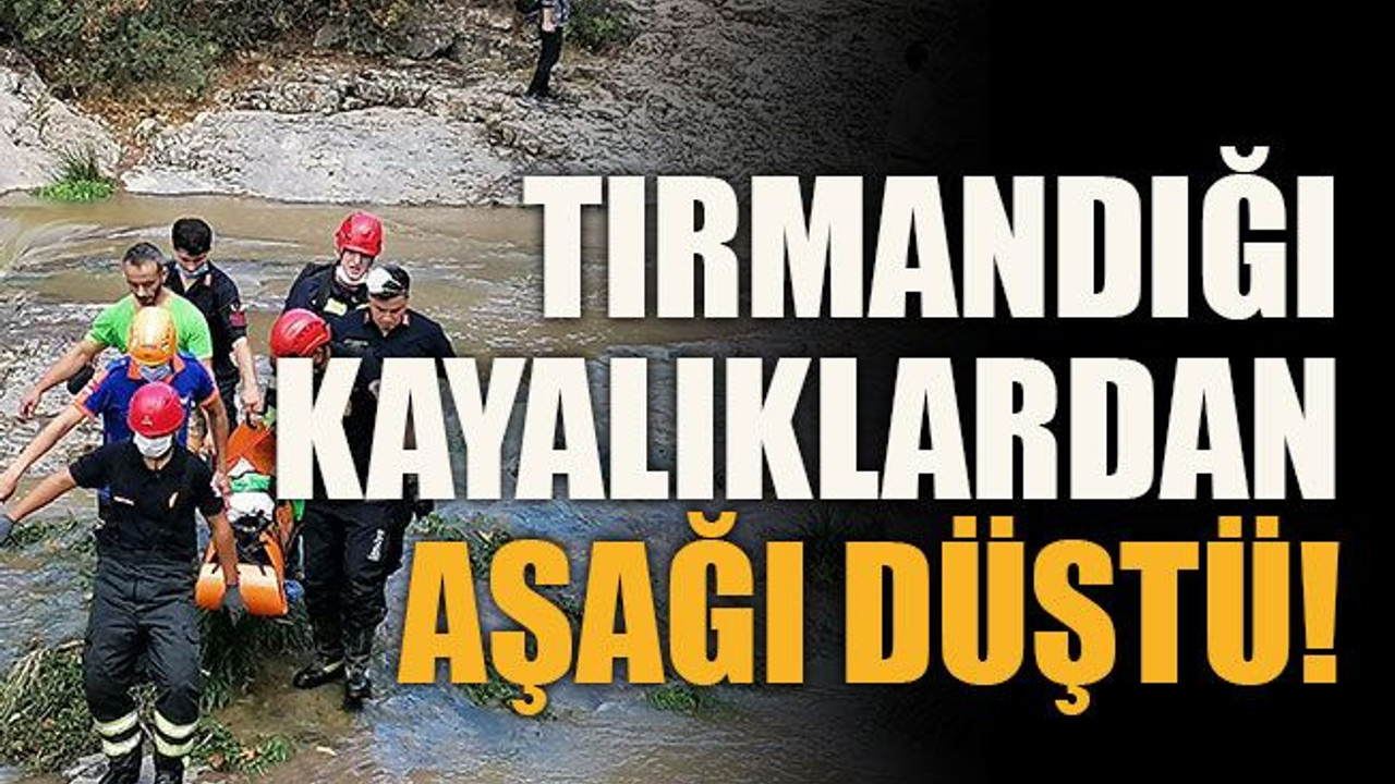 Tırmandığı kayalıklardan aşağı düştü!
