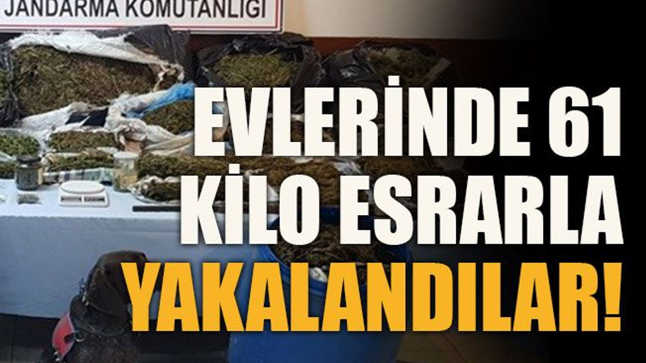 Evlerinde 61 kilo esrarla yakalandılar!