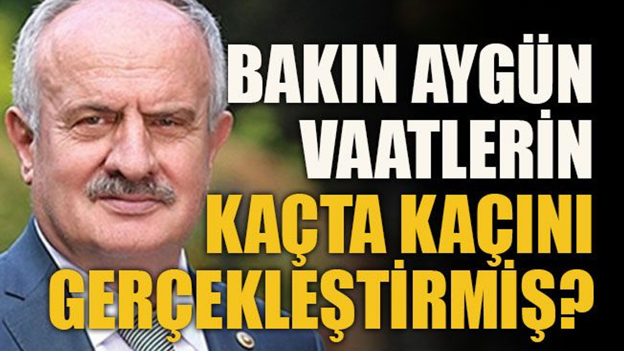 Bakın Aygün vaatlerin kaçta kaçını gerçekleştirmiş?