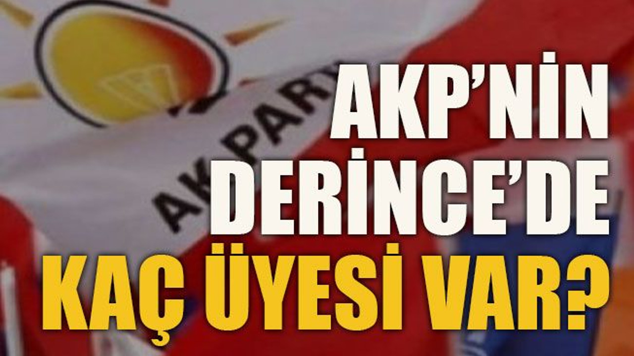 AKP’nin Derince’de kaç üyesi var?